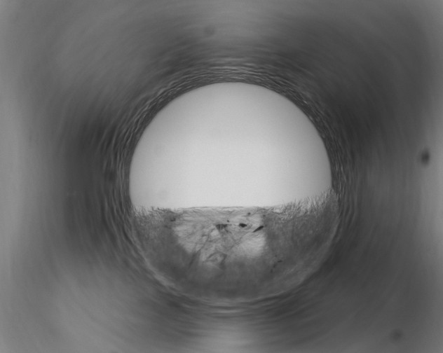 X0000115220089200912091231