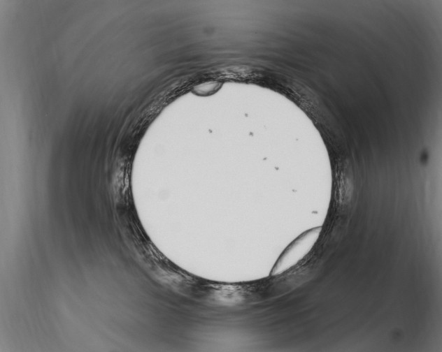 X0000115220091200912091231