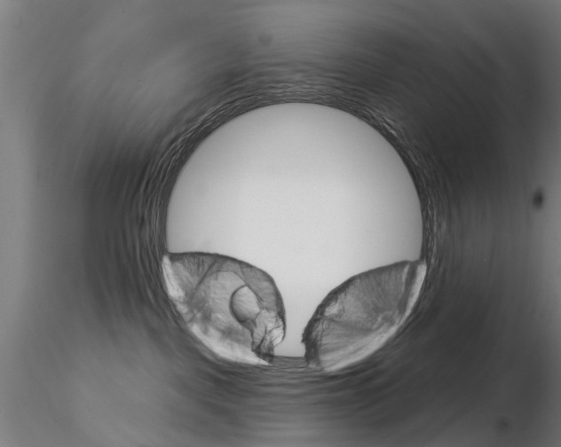 X0000115220093200912091231