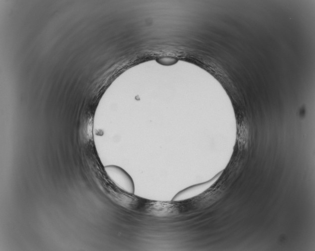 X0000115220095200912091231