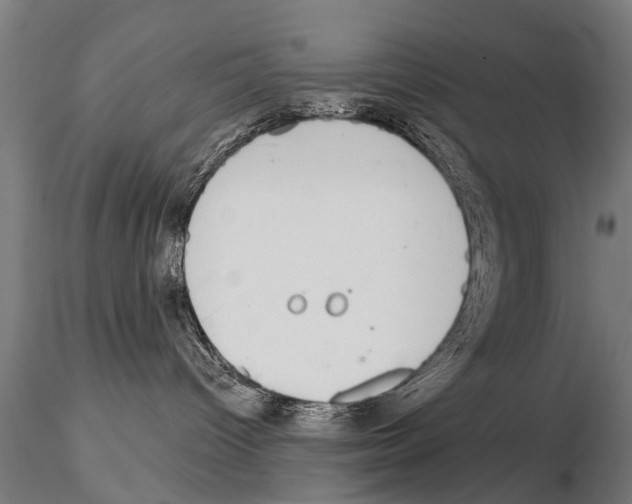 X0000115220096200912091231