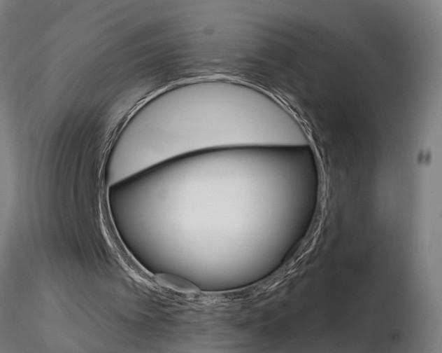 X0000115220097200912091230