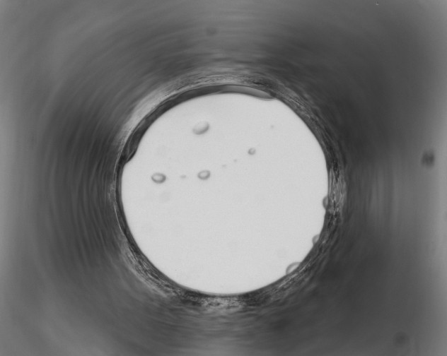 X0000115220099200912091230