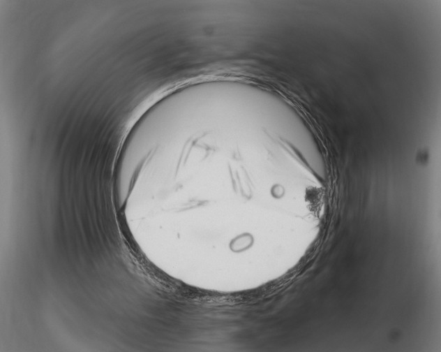 X0000115220100200912091230