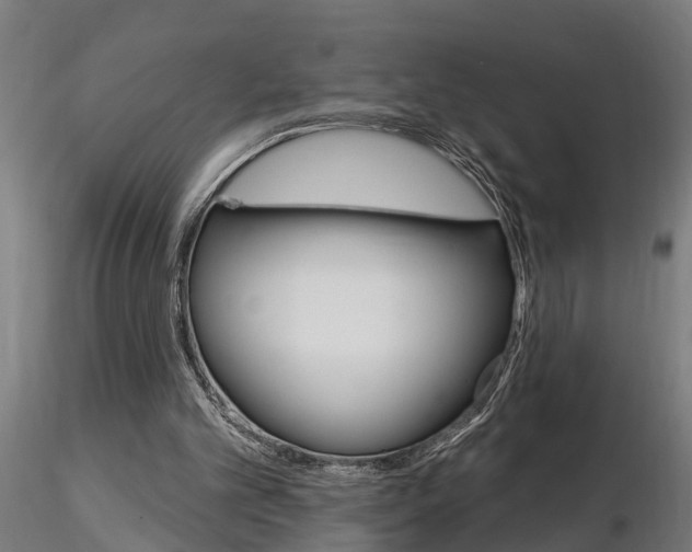 X0000115220101200912091230