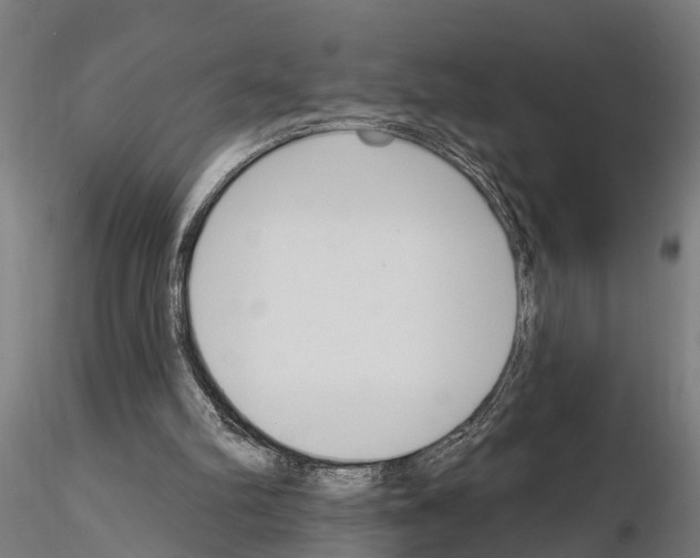 X0000115220102200912091230