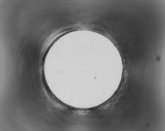 X0000115220103200912091230