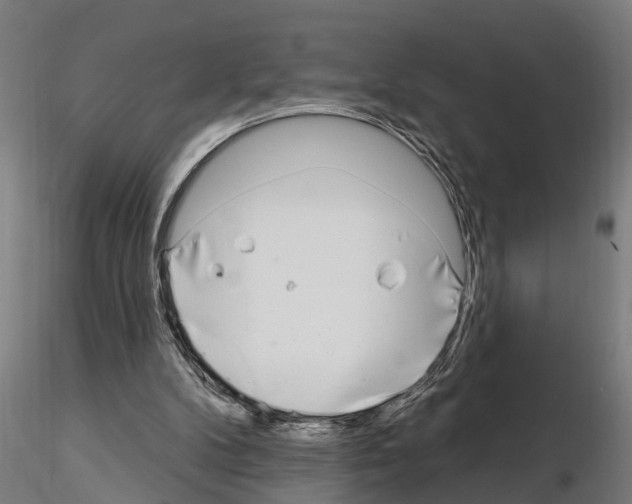 X0000115220104200912091230