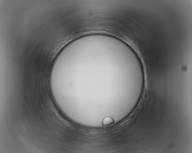 X0000115220105200912091230