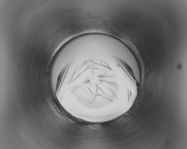 X0000115220108200912091230