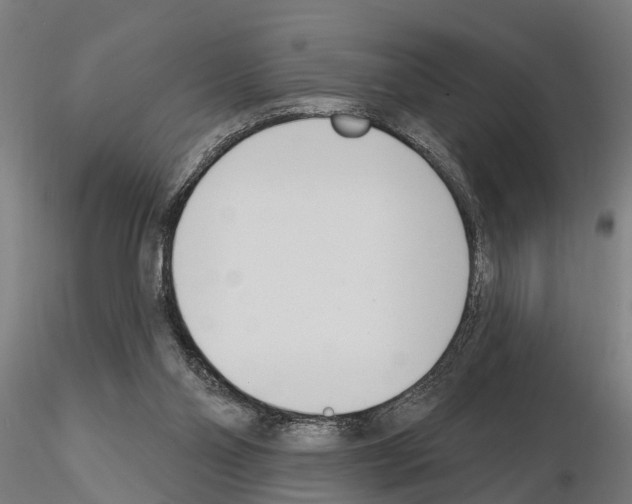 X0000115220110200912091230