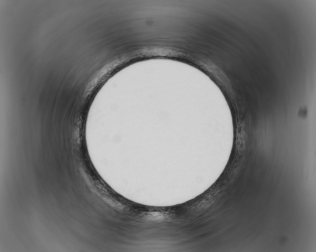 X0000115220111200912091230