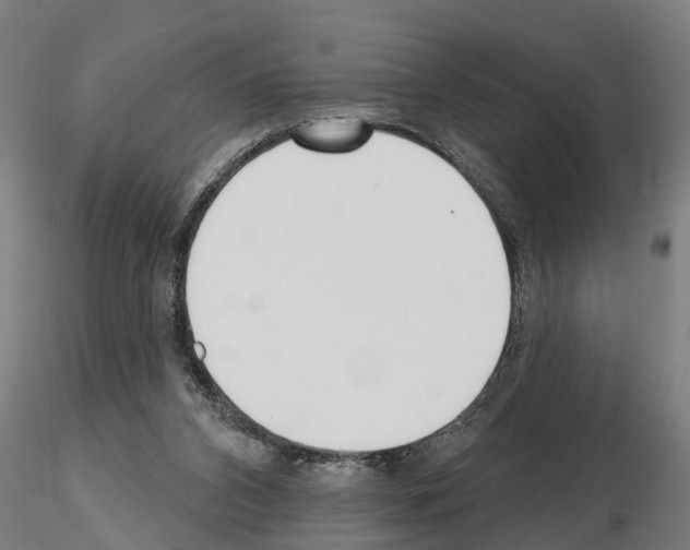 X0000115220112200912091230