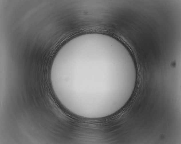 X0000115220117200912091230