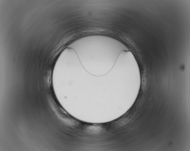 X0000115220119200912091230