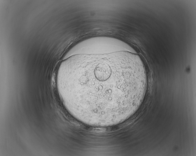 X0000115220123200912091230