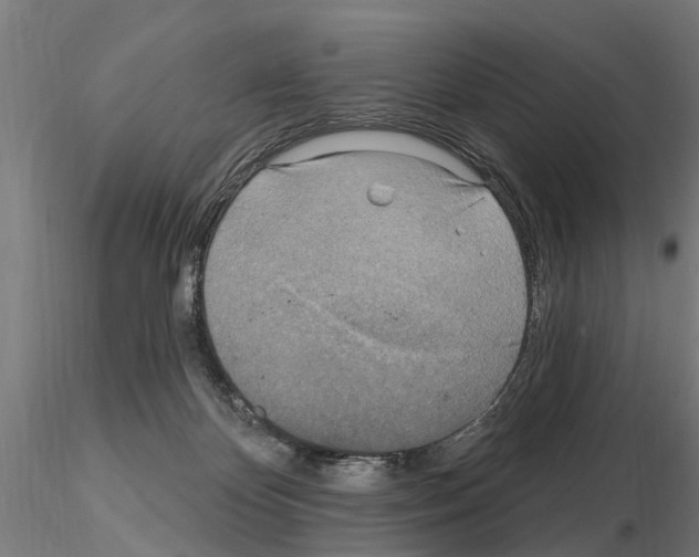 X0000115220124200912091230