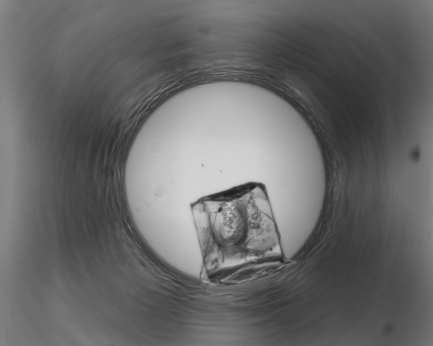 X0000115220125200912091230