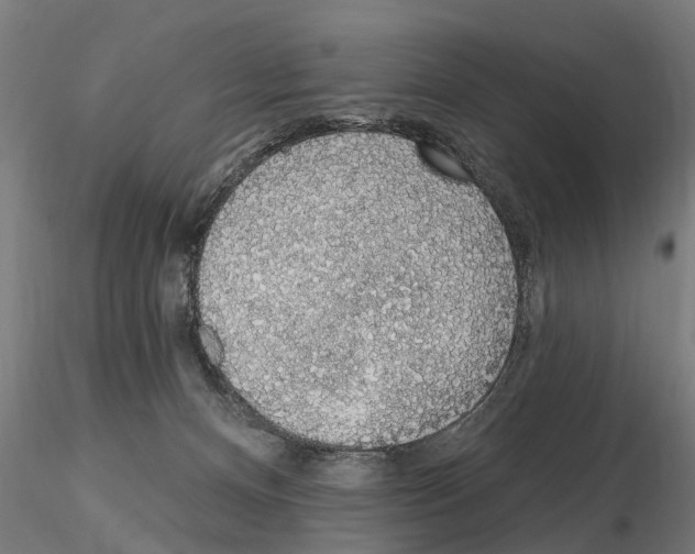 X0000115220128200912091230