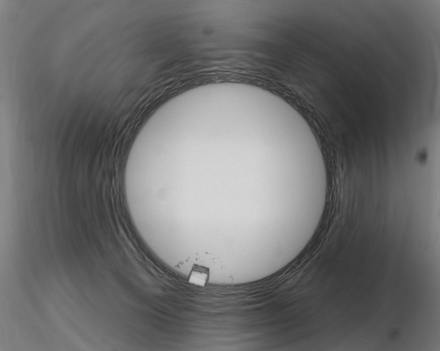 X0000115220129200912091230