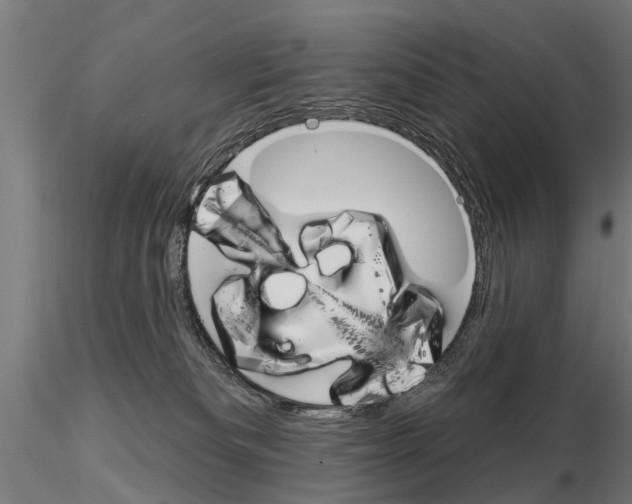 X0000115220133200912091230