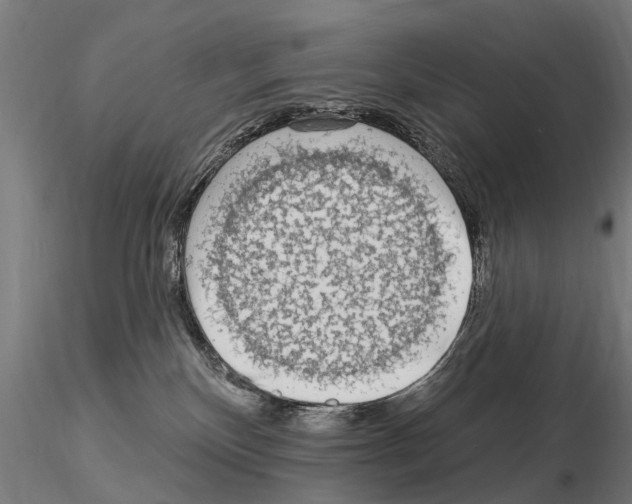 X0000115220136200912091230