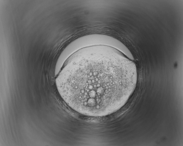 X0000115220139200912091230