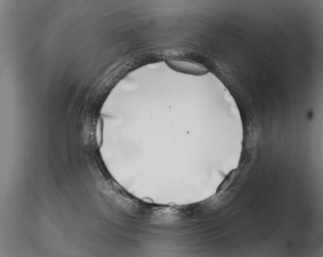 X0000115220140200912091229