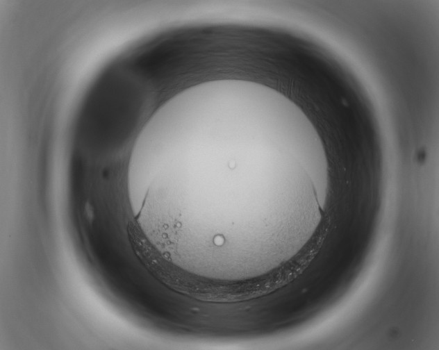 X0000115220143200912091229