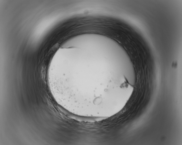 X0000115220146200912091229