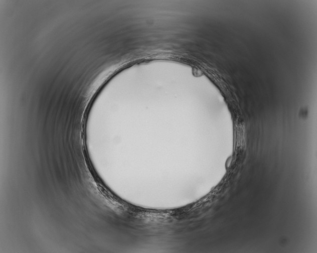 X0000115220147200912091229