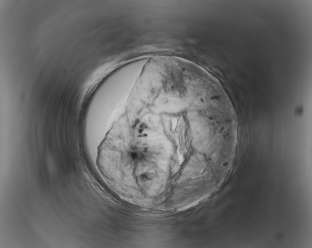 X0000115220149200912091229