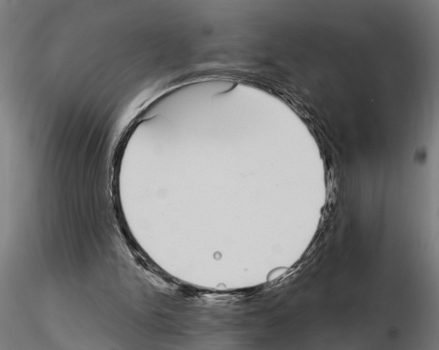 X0000115220150200912091229