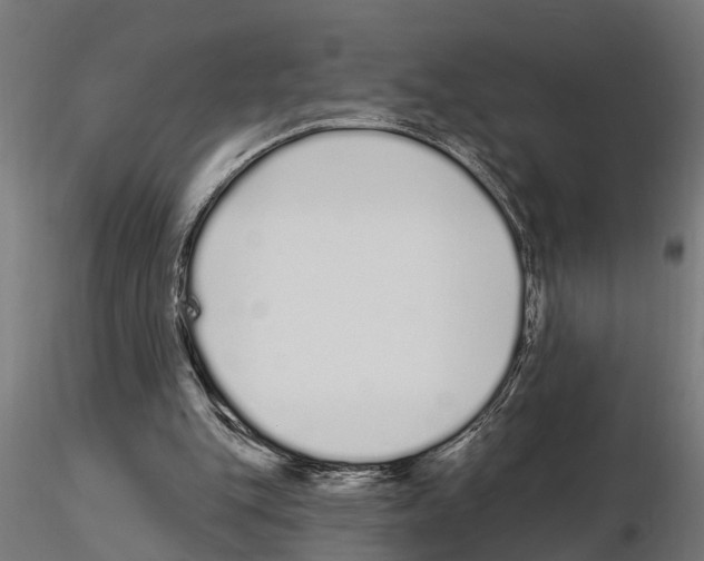 X0000115220151200912091229