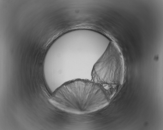 X0000115220153200912091229