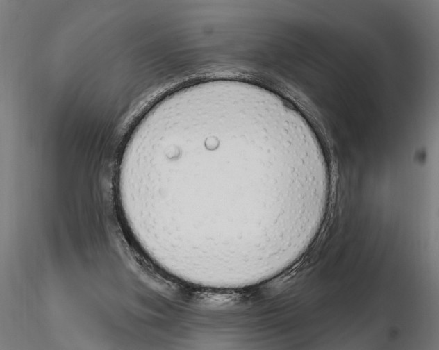 X0000115220155200912091229