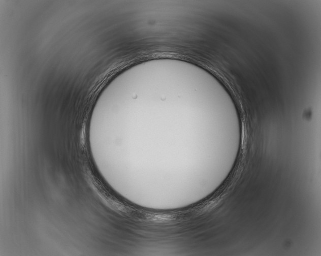 X0000115220157200912091229