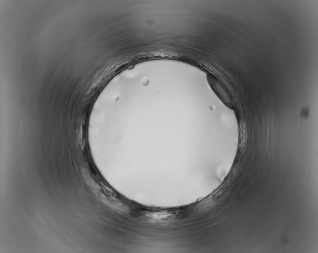 X0000115220158200912091229