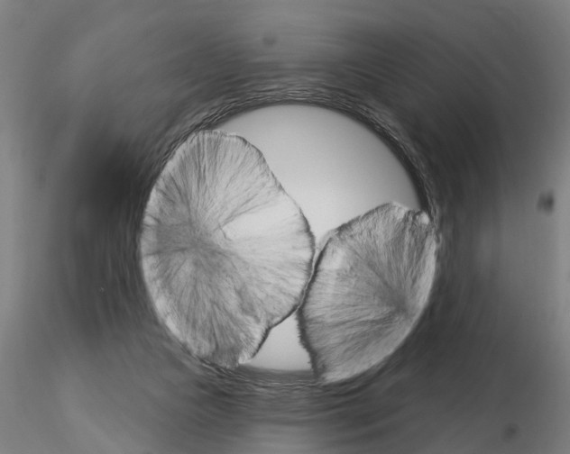 X0000115220161200912091229