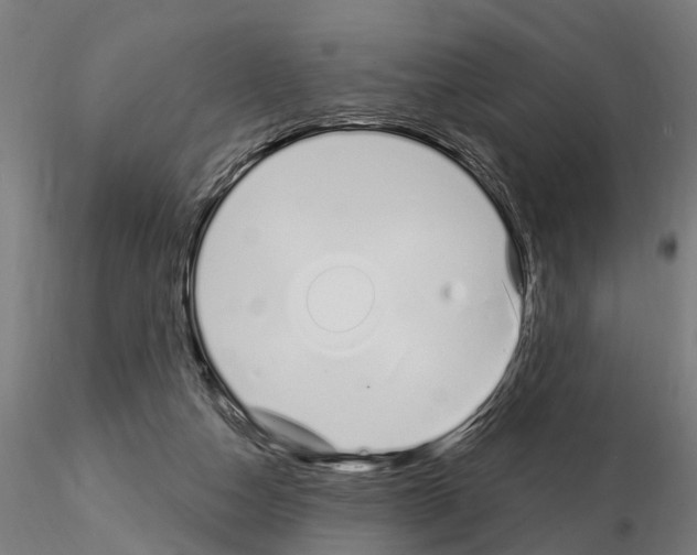 X0000115220162200912091229