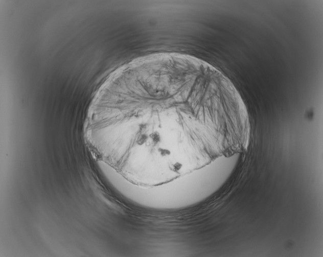 X0000115220165200912091229