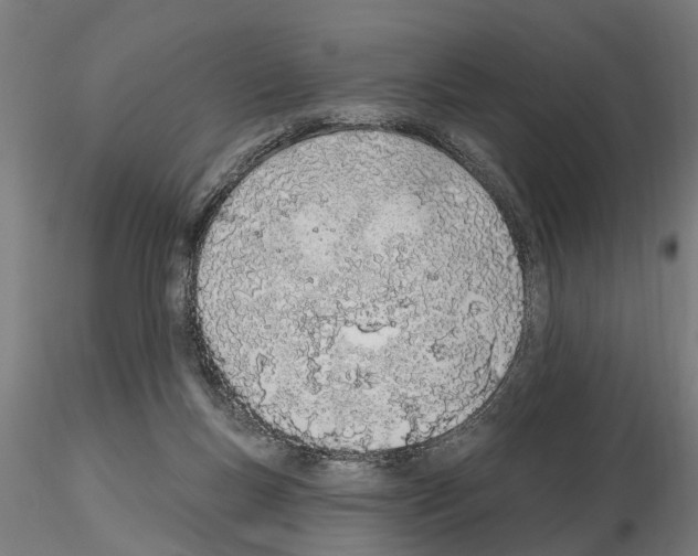 X0000115220167200912091229