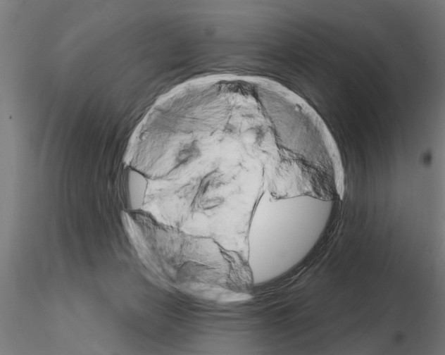 X0000115220173200912091229