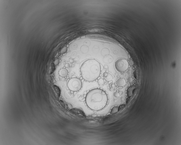 X0000115220175200912091229