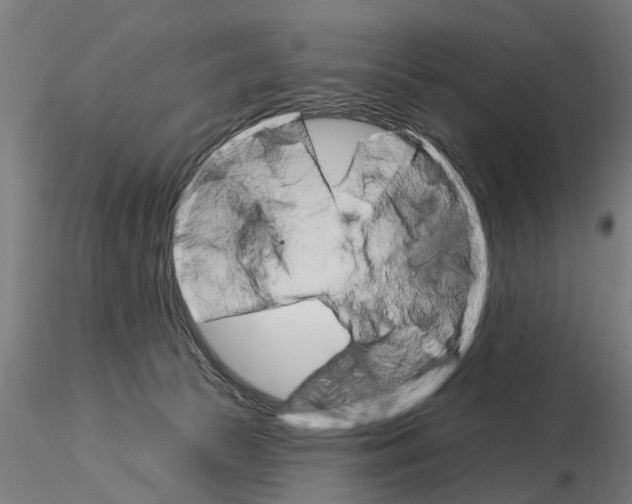 X0000115220177200912091229