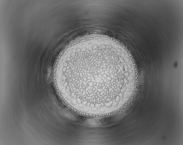 X0000115220178200912091229