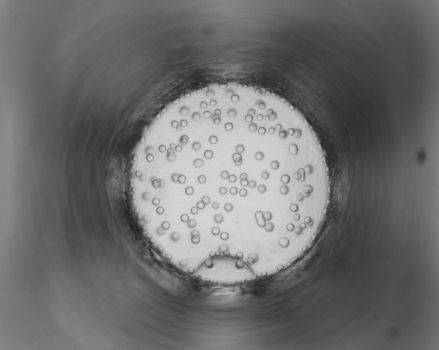 X0000115220179200912091229