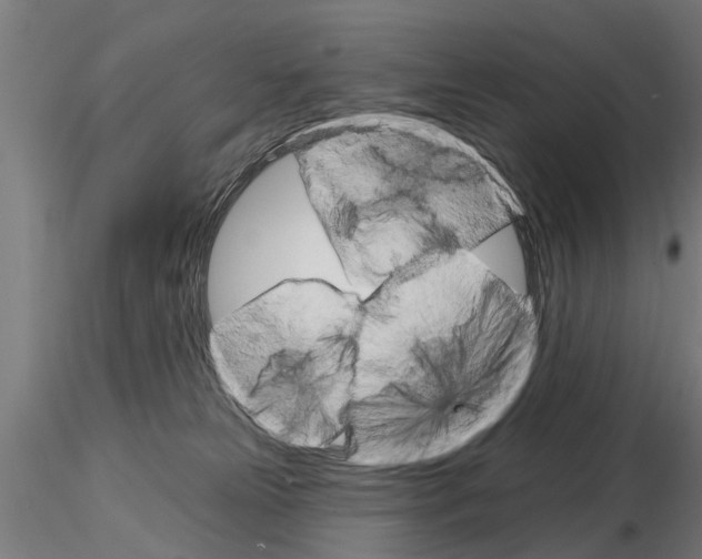 X0000115220181200912091229