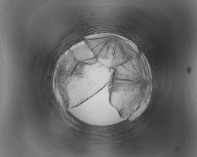 X0000115220185200912091229