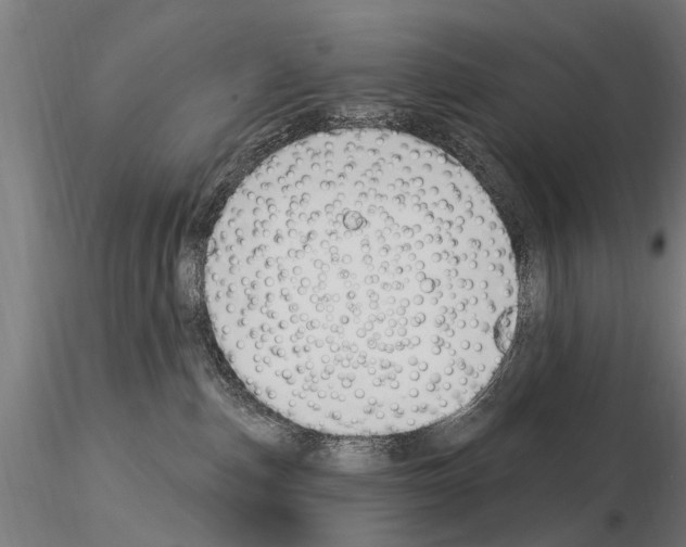 X0000115220187200912091229